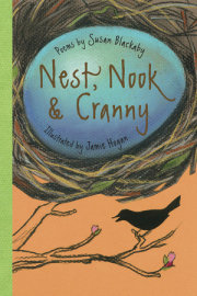 Nest, Nook & Cranny 