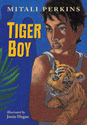 Tiger Boy 