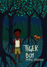 Tiger Boy 