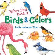 Baby's First Book of Birds & Colors 