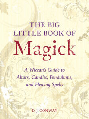 The Big Little Book of Magick 