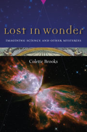 Lost in Wonder 