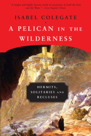 A Pelican in the Wilderness 