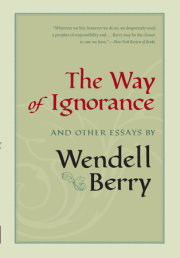 The Way of Ignorance 