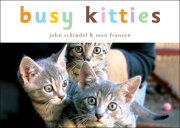 Busy Kitties 