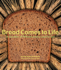 Book cover for Bread Comes to Life