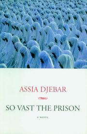 So Vast the Prison 