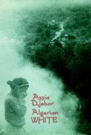 Algerian White 