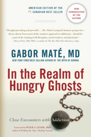 In the Realm of Hungry Ghosts 