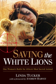 Saving the White Lions 