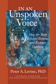 In an Unspoken Voice 