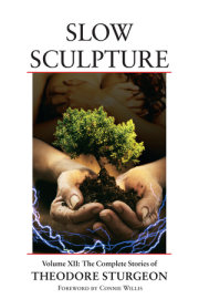 Slow Sculpture 