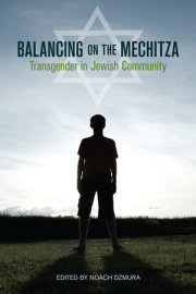 Balancing on the Mechitza 