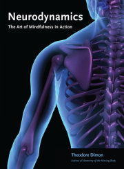 Neurodynamics 