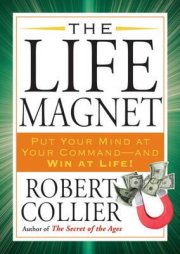 The Life Magnet 