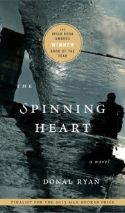 The Spinning Heart 