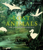 Lost Animals 