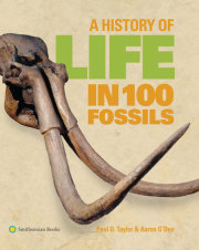 A History of Life in 100 Fossils 