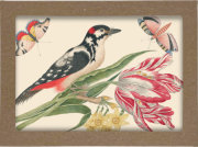 Smithsonian Birds and Flowers Notecard Set 