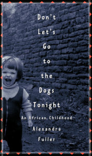 Don't Let's Go to the Dogs Tonight 