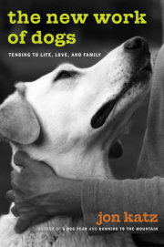 The New Work of Dogs 