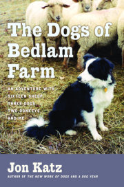 The Dogs of Bedlam Farm 