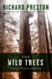The Wild Trees 