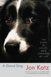 A Good Dog 