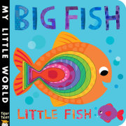 Big Fish Little Fish 