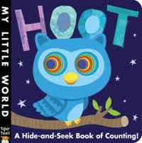 Book cover for Hoot