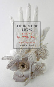 The Bridge of Beyond 