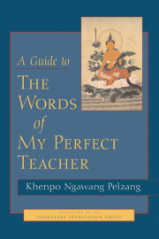 A Guide to the Words of My Perfect Teacher 