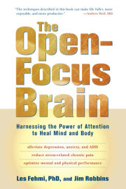 The Open-Focus Brain 