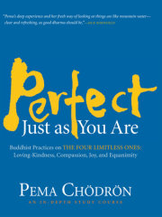 Perfect Just as You Are 