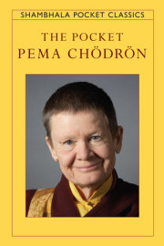 The Pocket Pema Chodron 