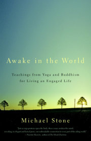 Awake in the World 