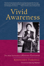 Vivid Awareness 