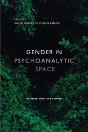 Gender in Psychoanalytic Space 