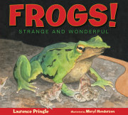 Frogs! 