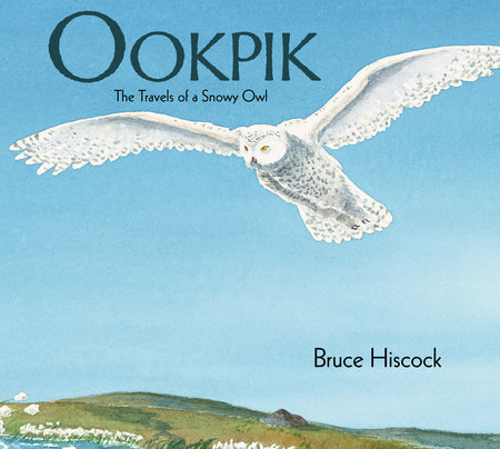 Ookpik by Bruce Hiscock: 9781590784617 | PenguinRandomHouse.com: Books