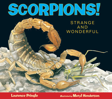 scorpion life cycle for kids