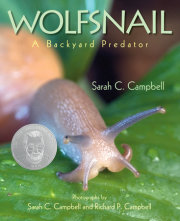 Wolfsnail 