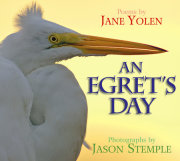 An Egret's Day 