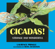 Cicadas! 