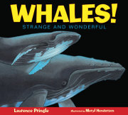 Whales! 