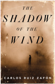 The Shadow of the Wind 