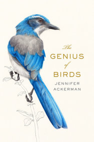 the sibley guide to bird life & behavior