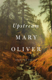 Upstream 
