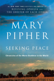 Seeking Peace 