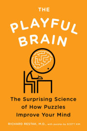 The Playful Brain 